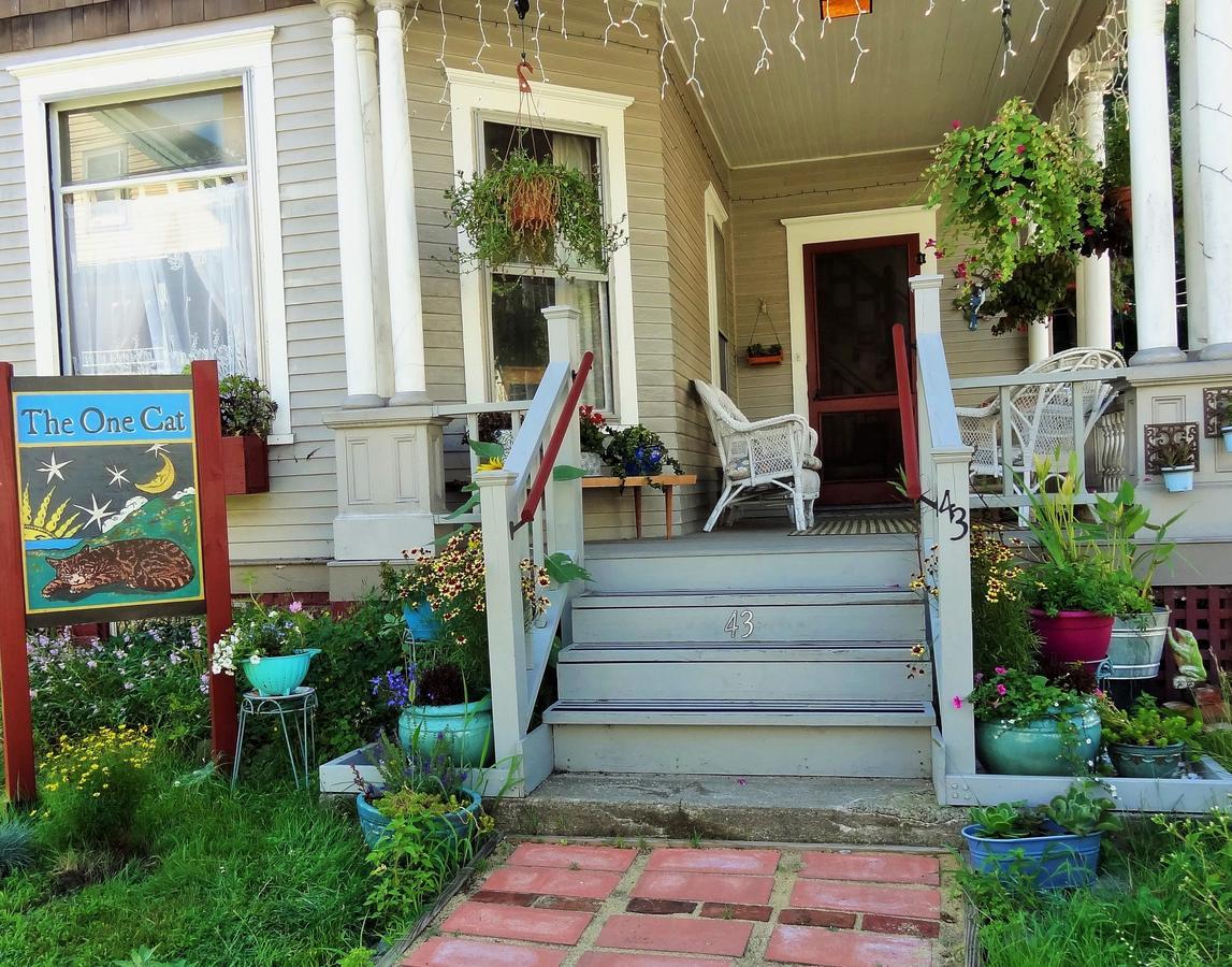 The One Cat Bed & Breakfast Brattleboro Exterior photo