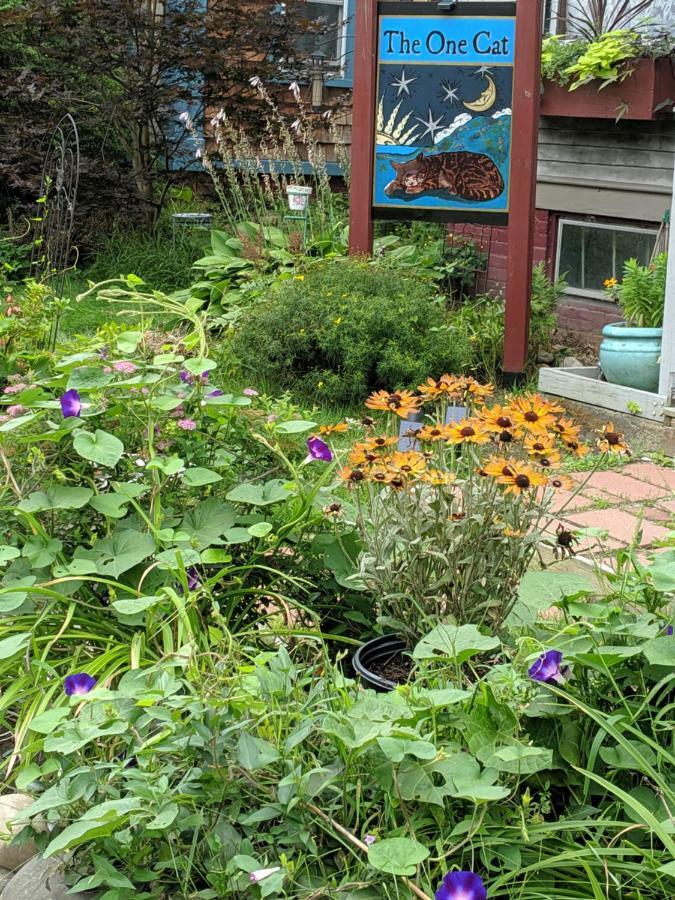 The One Cat Bed & Breakfast Brattleboro Exterior photo